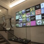 Il nuovo ingresso da via Accademia Albertina | Foto R. Valterza 